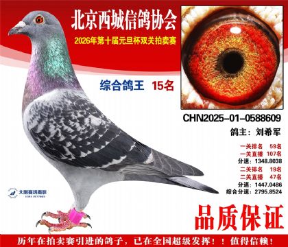 ����15��