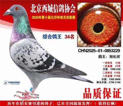 ����34��