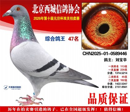 ����47��