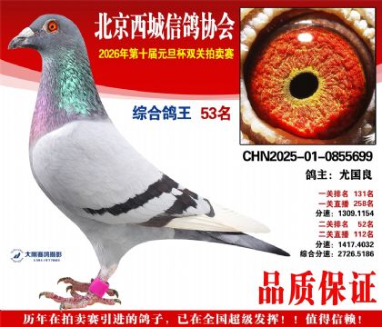 ����53��