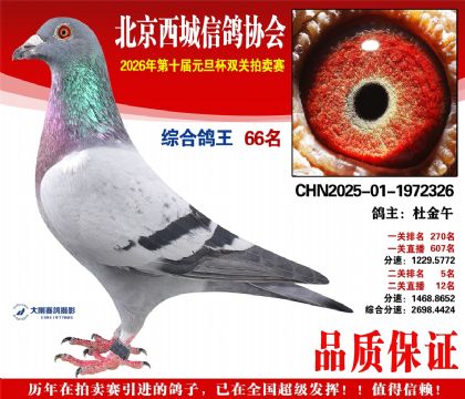 ����66��