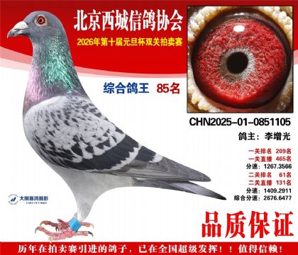 ����85��