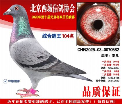 ����104��