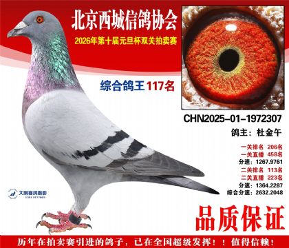 ����117��