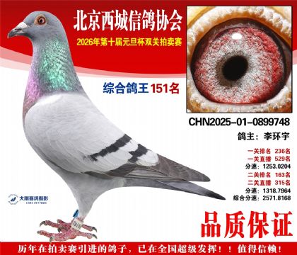 ����151��