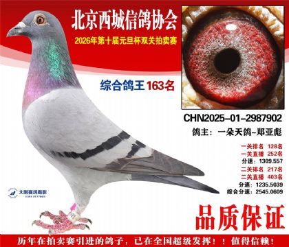 ����163��