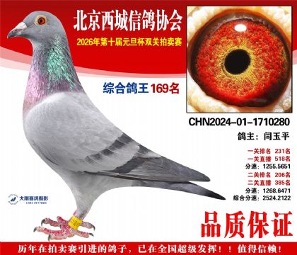 ����169��