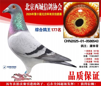 ����177��