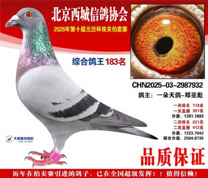 ����183��