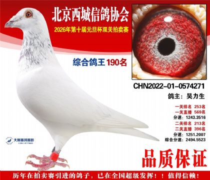 ����190��