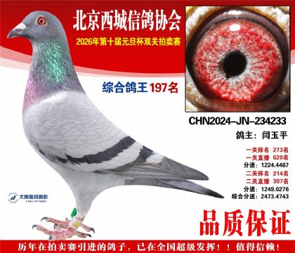 ����197��