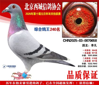 ����240��