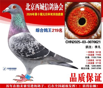 ����219��