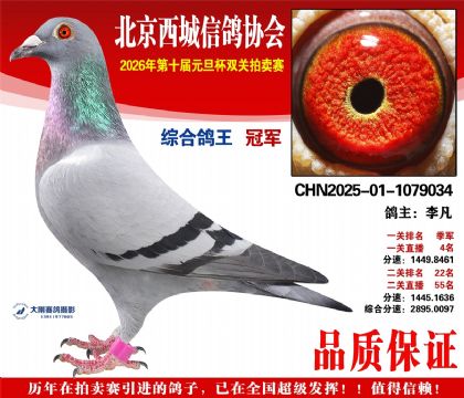 �����ھ�