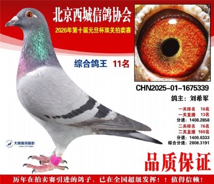 ����11��