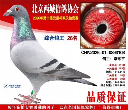 ����26��