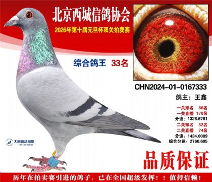 ����33��