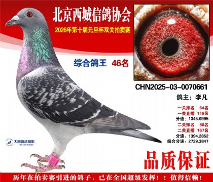 ����46��