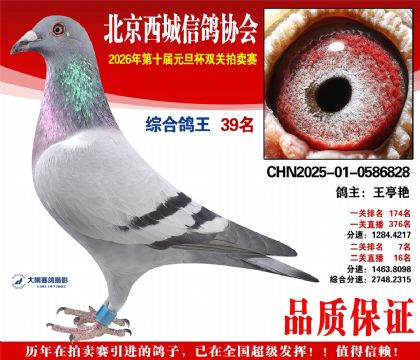 ����39��