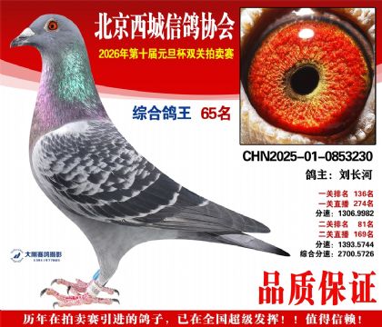 ����65��