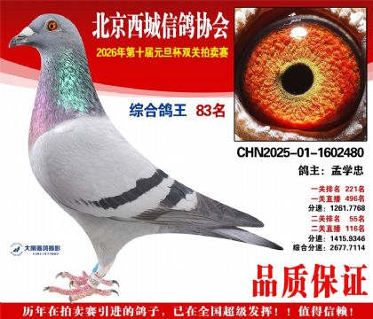 ����83��