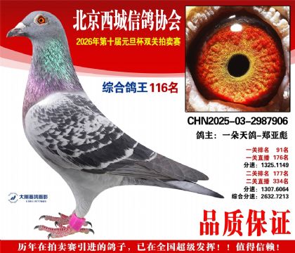 ����116��