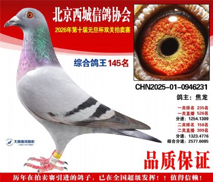 ����145��