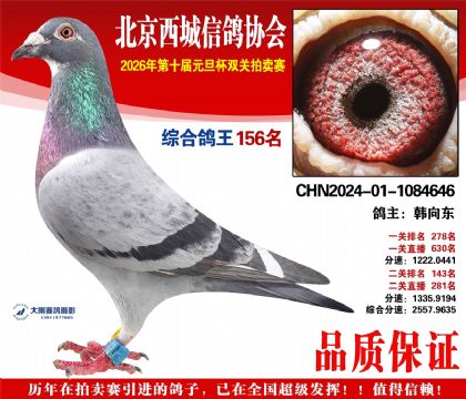 ����156��