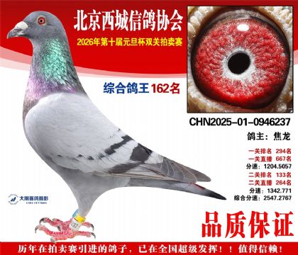 ����162��