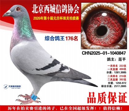 ����176��