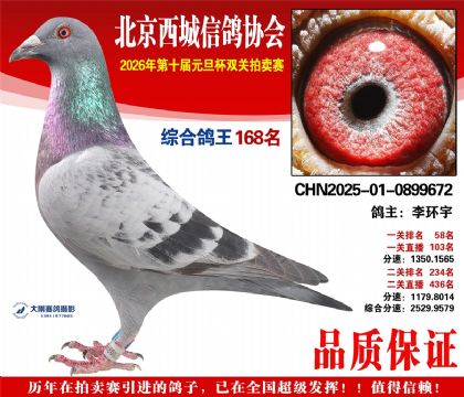 ����168��