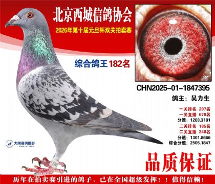 ����182��