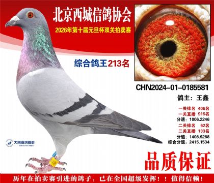 ����213��