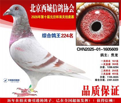 ����224��