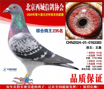 ����235��