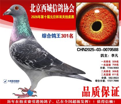 ����301��