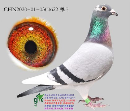 1.��ʿx����x�ƽ�����m.0360622