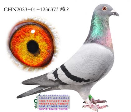 5.���ҽ�������.1236373