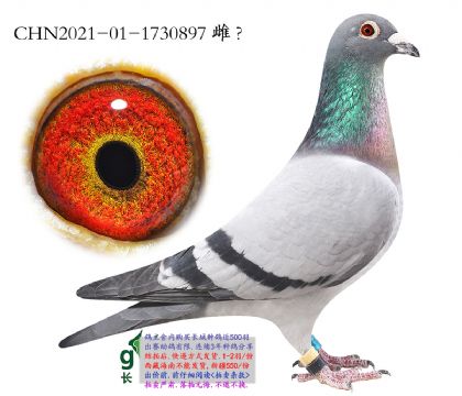 7.�¿��������m.1730897