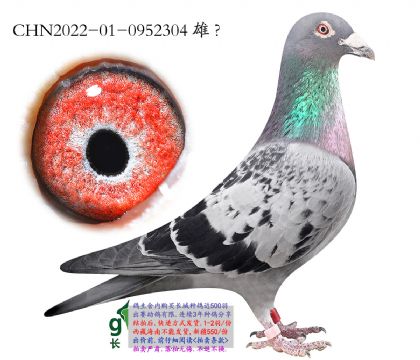 14.���������ھ��Ӵ�.0952304