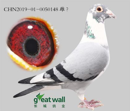 2.�������m.0050148