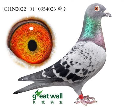 3.�Ǳ�ȫʡ�����.0954023