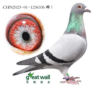 4.��������ŷ���.1236336