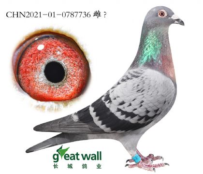 6.׿Խ�Ƿ���x�󽫾�Ѫϵ.0787736