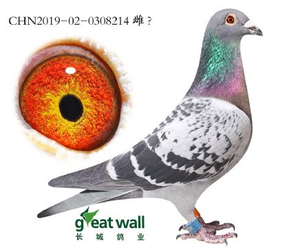 9.׿Խ�������������50.0308214