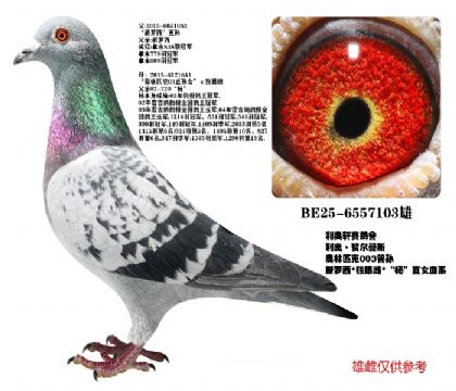 ���ºն���˹