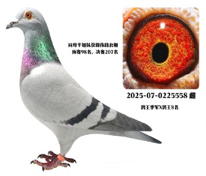 �｡��������xΰ·����8��