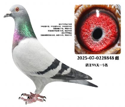 ����9X5��