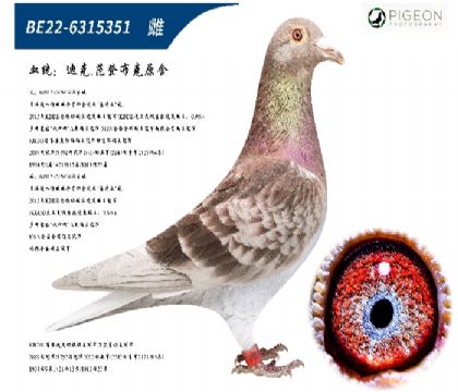 �Ͽ˷��ǲ��˺ú��ֱ����ֱŮ���׻�Ѫ