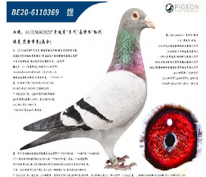 �Ͽ˷��ǲ����漣��ֱ�ӣ����ض�ֱ�